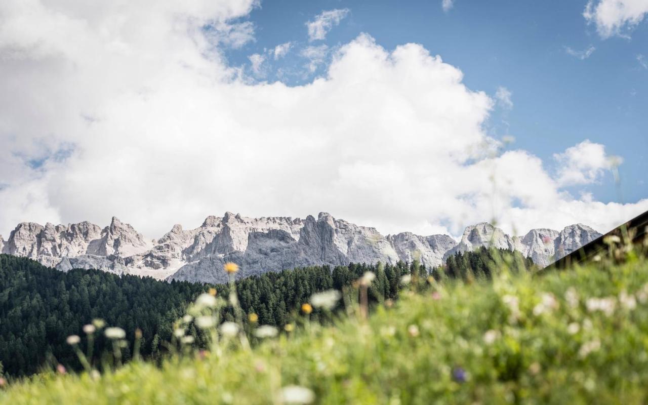 Cadepunt The Dolomites Lodge 塞尔瓦迪加尔代纳山谷 外观 照片