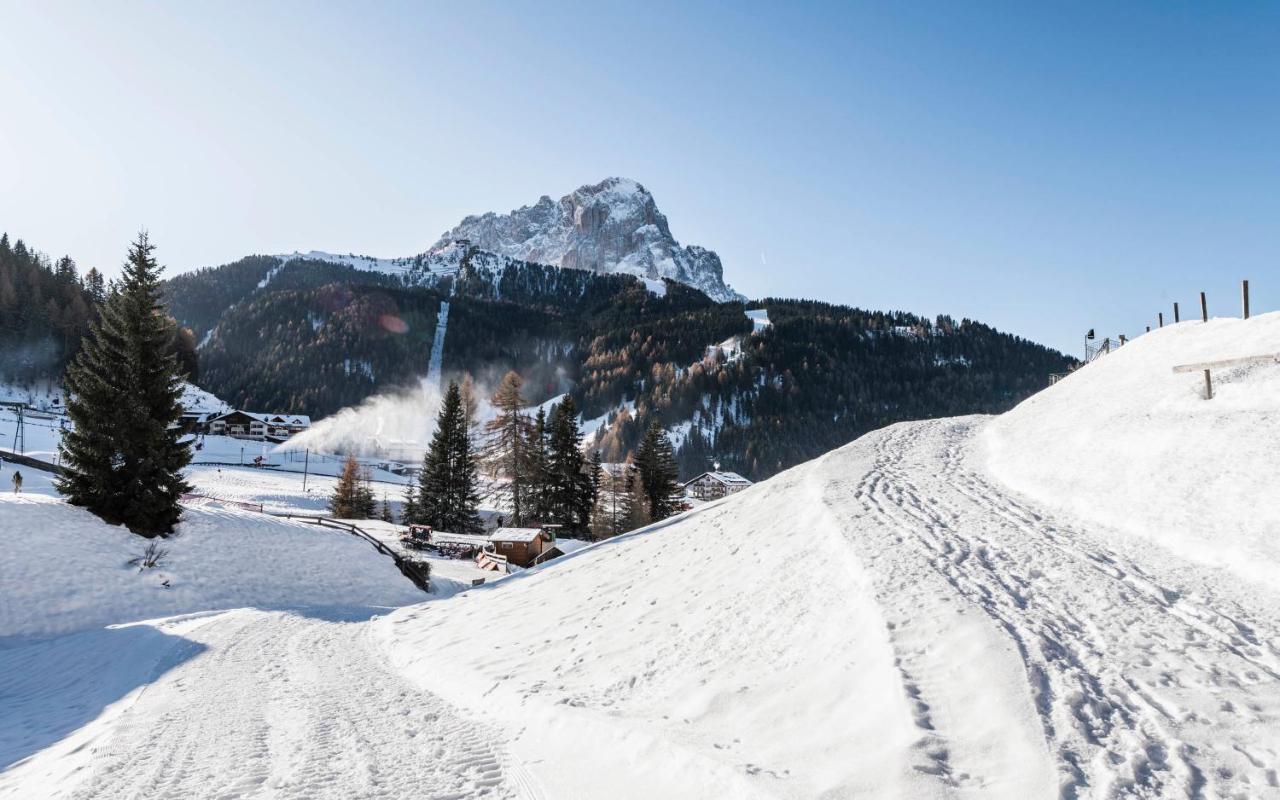 Cadepunt The Dolomites Lodge 塞尔瓦迪加尔代纳山谷 外观 照片